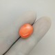 Coral (Moonga) 8.65 Ct Best Quality Coral (Moonga) 8.65 Ct Best Quality